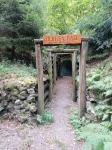 argonner_wald2020002