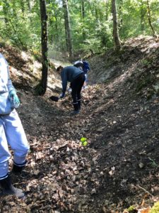 argonner_wald2020005