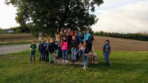 westerhausen2020_2