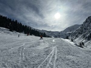 ziller8