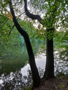 Mönchemühlenteich