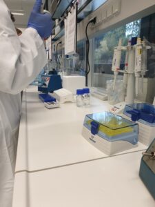 bioex23_4