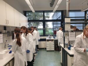 bioex23_6