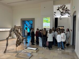 landesmuseum_halle24_11