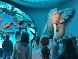 landesmuseum_halle24_3