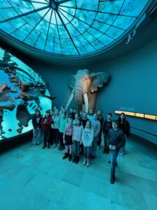 landesmuseum_halle24_4