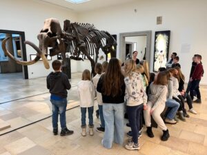 landesmuseum_halle24_5